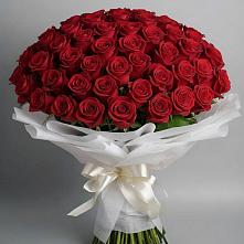 Букет 101 Красная роза Блэк Мэджик в Пшизове