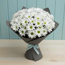 Букет цветов из:  Хризантемы в Пшизове