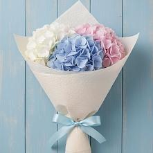 Букет цветов из:  Гортензия в Пшизове