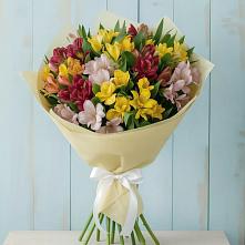 Букет цветов из:  Альстромерии в Пшизове