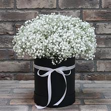 Цветочная композиция из Гипсофила в шляпной коробке #REPLACE_PRED# Пшизове