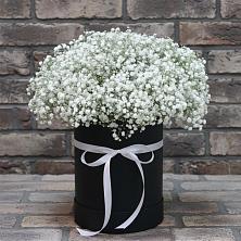 Цветочная композиция из Гипсофила в шляпной коробке в Пшизове