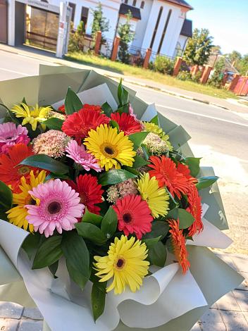 Букет цветов из: Герберы в Пшизове