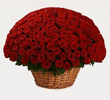 Премиум букет из: Розы в Пшизове