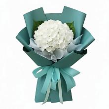 Букет цветов из:  Гортензия в Пшизове
